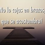 no lo cojas en brazos que se acostumbra